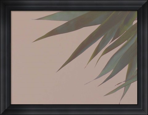 Framed Bamboo Pink III Print