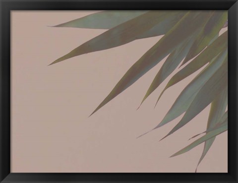 Framed Bamboo Pink III Print