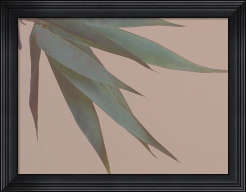 Framed Bamboo Pink IV Print
