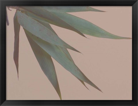 Framed Bamboo Pink IV Print