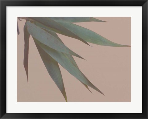 Framed Bamboo Pink IV Print