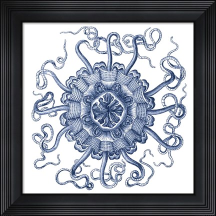 Framed Navy Ocean Gems II Print