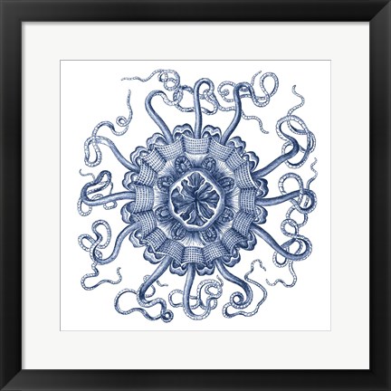 Framed Navy Ocean Gems II Print