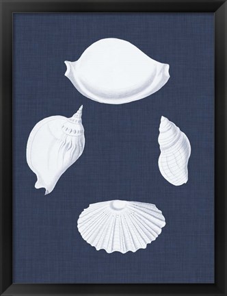 Framed Coquillages Blancs I Print