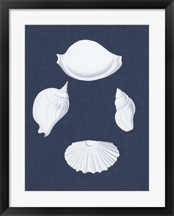 Framed Coquillages Blancs I Print