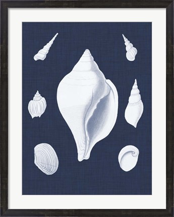 Framed Coquillages Blancs II Print