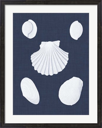 Framed Coquillages Blancs III Print