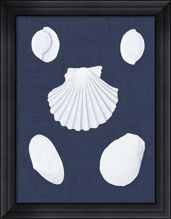 Framed Coquillages Blancs III Print