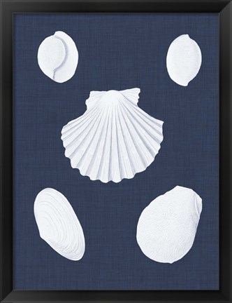 Framed Coquillages Blancs III Print