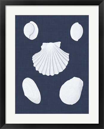 Framed Coquillages Blancs III Print