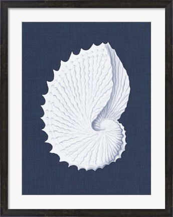 Framed Coquillages Blancs V Print