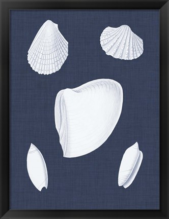 Framed Coquillages Blancs VI Print