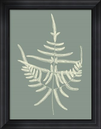 Framed Ferns on Sage I Print