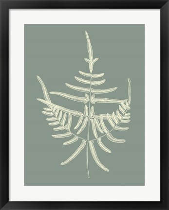 Framed Ferns on Sage I Print