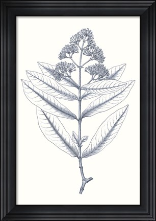 Framed Indigo Botany Study I Print