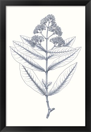 Framed Indigo Botany Study I Print