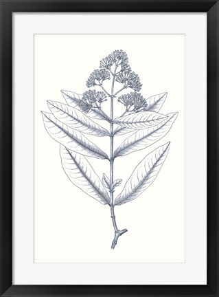 Framed Indigo Botany Study I Print