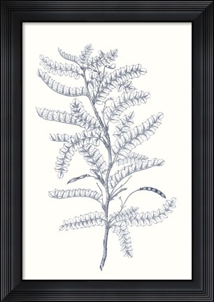 Framed Indigo Botany Study II Print