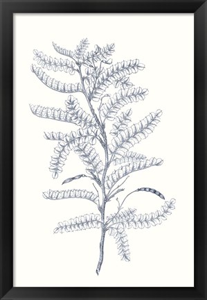 Framed Indigo Botany Study II Print