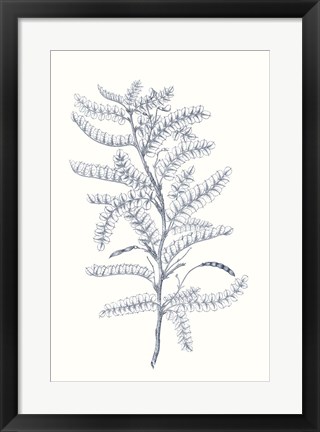 Framed Indigo Botany Study II Print