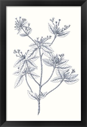 Framed Indigo Botany Study III Print