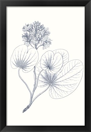 Framed Indigo Botany Study IV Print