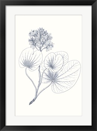 Framed Indigo Botany Study IV Print