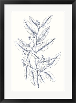 Framed Indigo Botany Study V Print