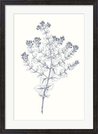 Framed Indigo Botany Study VI Print