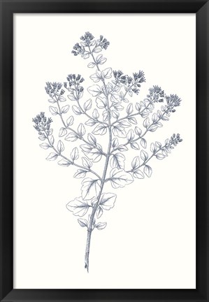 Framed Indigo Botany Study VI Print