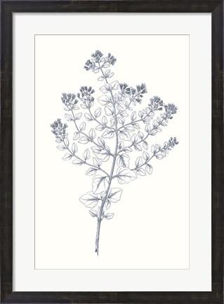 Framed Indigo Botany Study VI Print