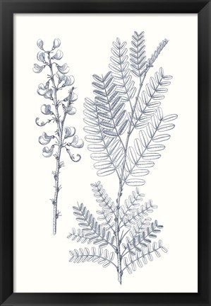 Framed Indigo Botany Study VII Print