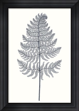 Framed Indigo Botany Study VIII Print