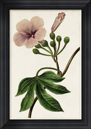 Framed Mauve Botanicals I Print