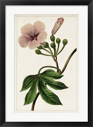 Framed Mauve Botanicals I Print