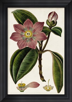 Framed Mauve Botanicals VI Print