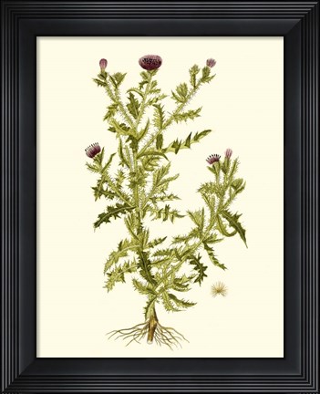 Framed Olive Greenery II Print