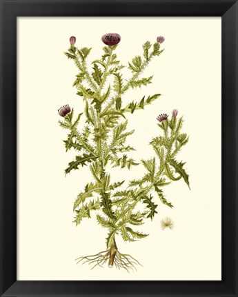 Framed Olive Greenery II Print