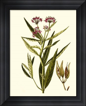 Framed Olive Greenery VIII Print