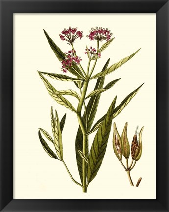 Framed Olive Greenery VIII Print