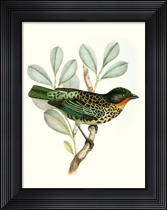 Framed On Perch I Print