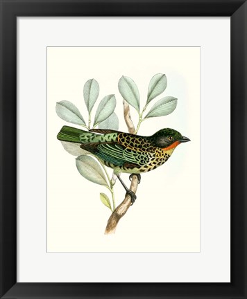 Framed On Perch I Print