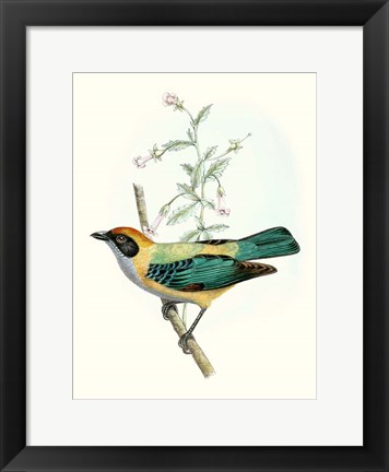 Framed On Perch II Print