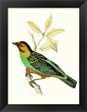 Framed On Perch VI Print