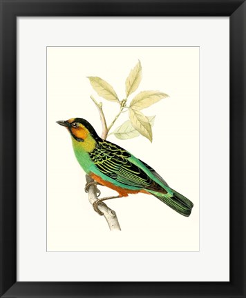 Framed On Perch VI Print