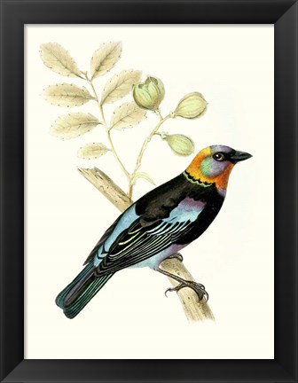Framed On Perch IX Print