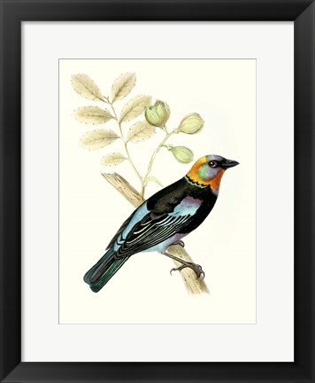 Framed On Perch IX Print