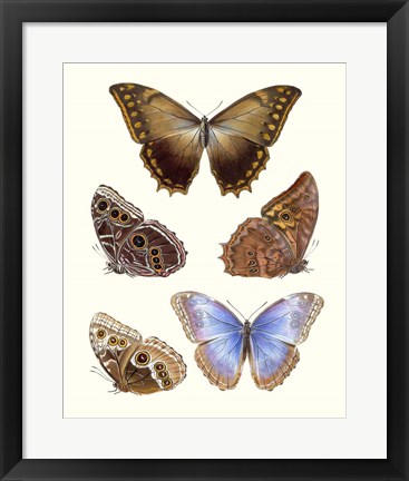 Framed Violet Butterflies I Print