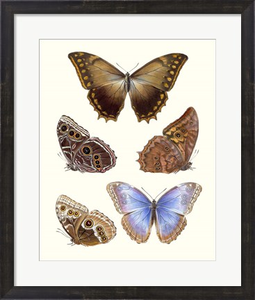 Framed Violet Butterflies I Print