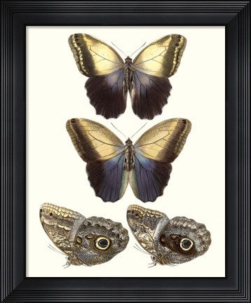 Framed Violet Butterflies III Print